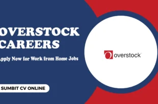 Overstock Careers